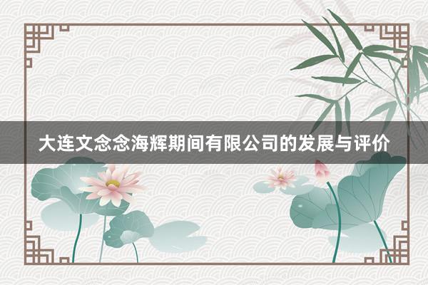 大连文念念海辉期间有限公司的发展与评价